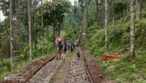 road