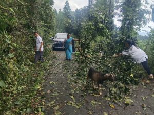 Problem with alternative route from Samsung to Gorubthan
