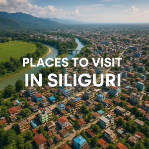 Siliguri Drone Shot