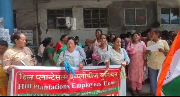 लङभ्यूका चिया श्रमिकहरूद्वारा धर्ना,चियाबारी मालिकविरुद्ध कारवाहीको माग