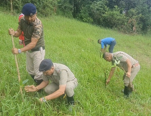 खरसाङ ट्राफिक पुलिसद्वारा वृक्ष रोपण
