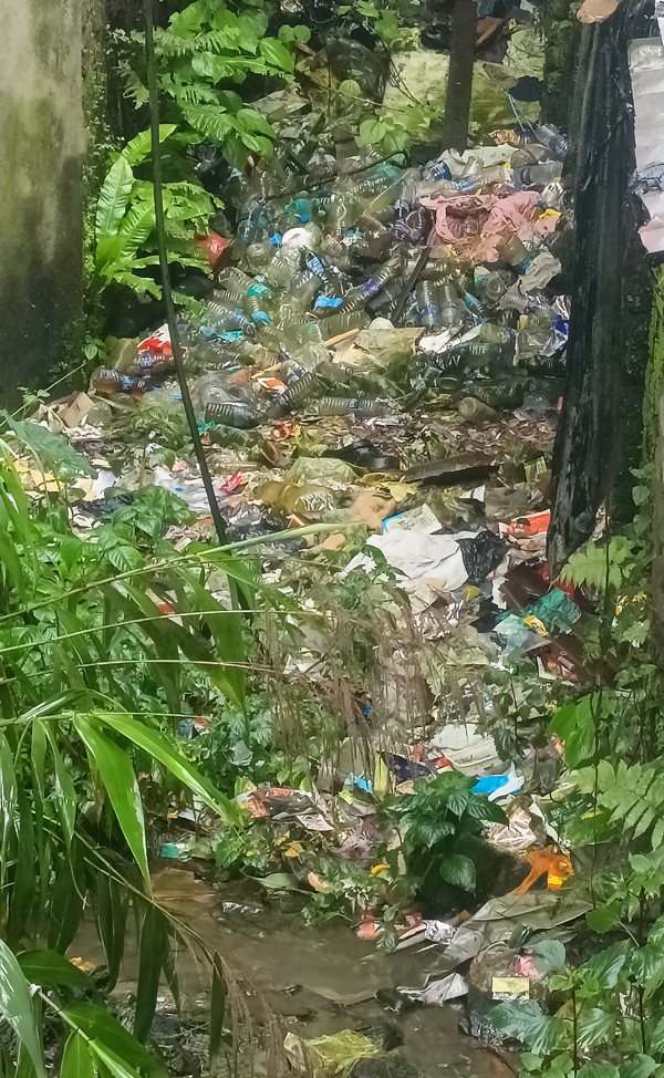 शिश महल पछिल्तिर थुप्रिएको प्लास्टिक अनि फोहोर एक समस्या