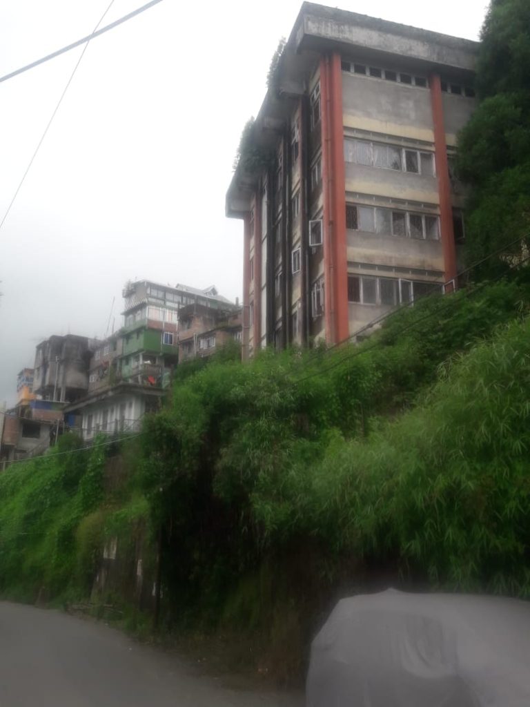 Umbrella company darjeeling