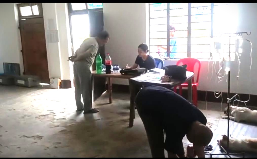 बिजनबारीमा कुकुरहरूको एकदिने नसबन्दी शिविर 