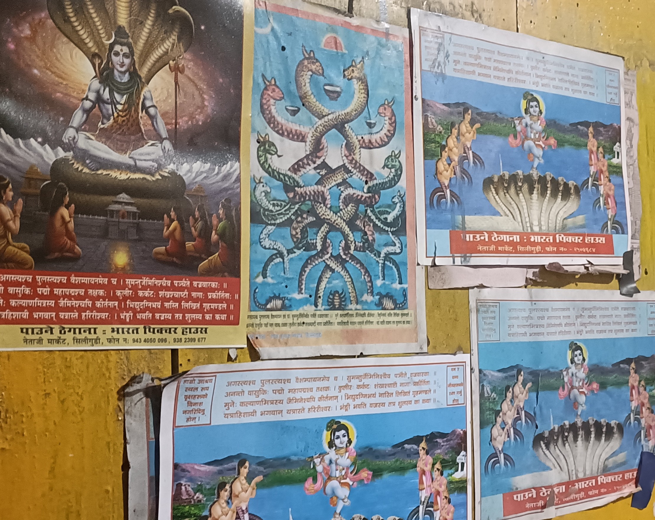 नागपञ्चमी, रिखी डोरी, कुशे औँसीको महत्व घट्दै जाँदैछ