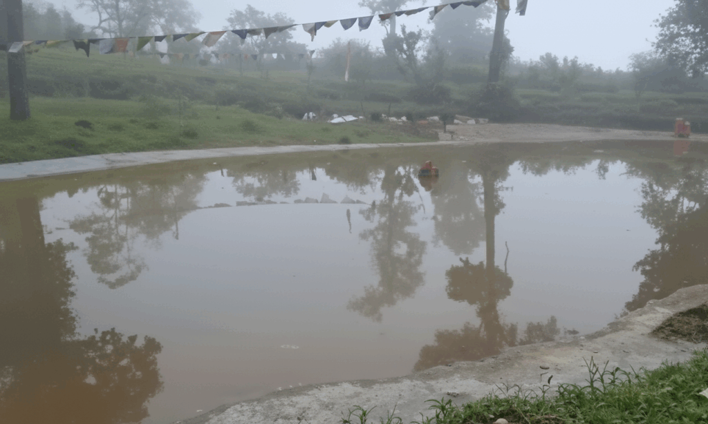 Signs of revival for 6 Mile Lake