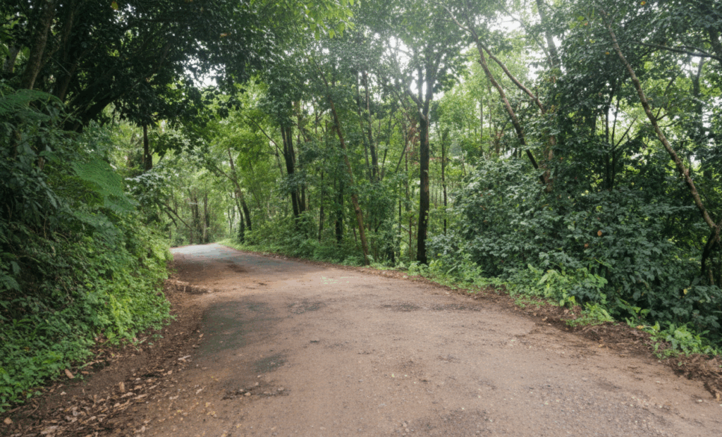 Various possibilities related to alternative highway construction