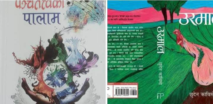 Read more about the article मदन पुरस्कारको अन्तिम छनौटमा भारतबाट दुई कृति