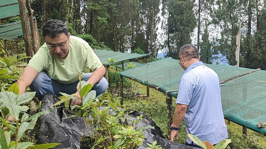 A plant care competition will be held