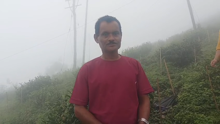 Read more about the article प्वाँलेधुरामा गाउँ समाजद्वारा दुइहजार न्यु प्लानटेशन