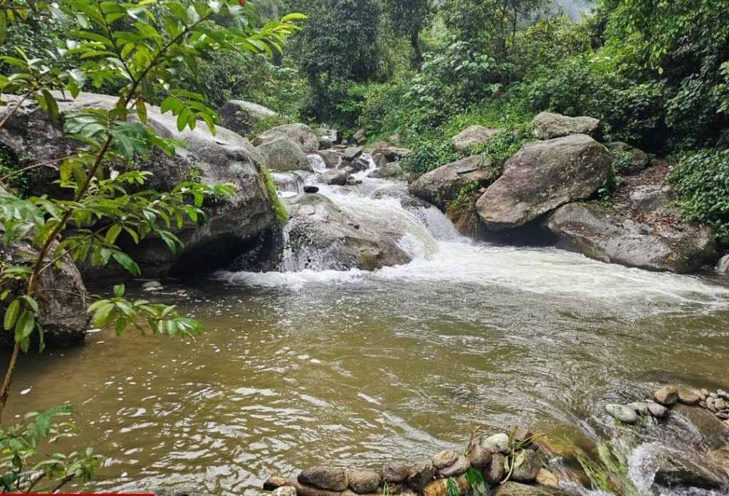 Simon Singh Sarki drowned