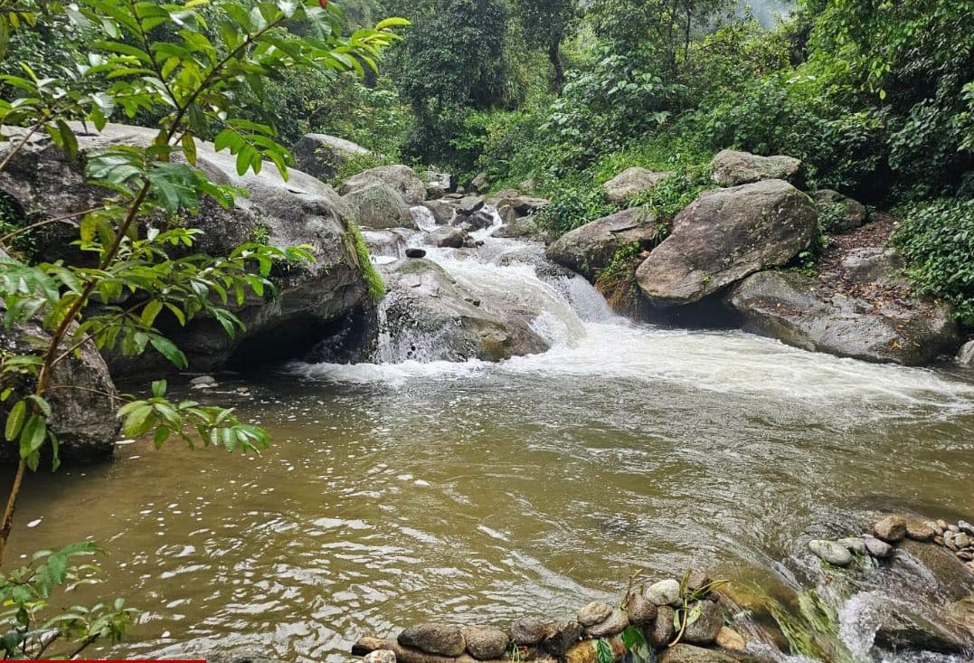 रे खोलामा २१ वर्षे सिमोन सिंह सार्कीको डुबेर मृत्यु