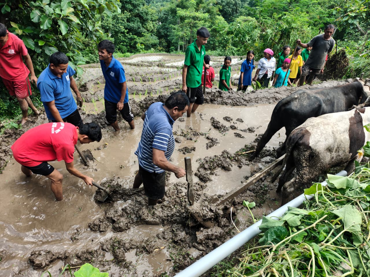 विद्यादिपका विद्यार्थीहरुलाई खेतीपातीको शिक्षा