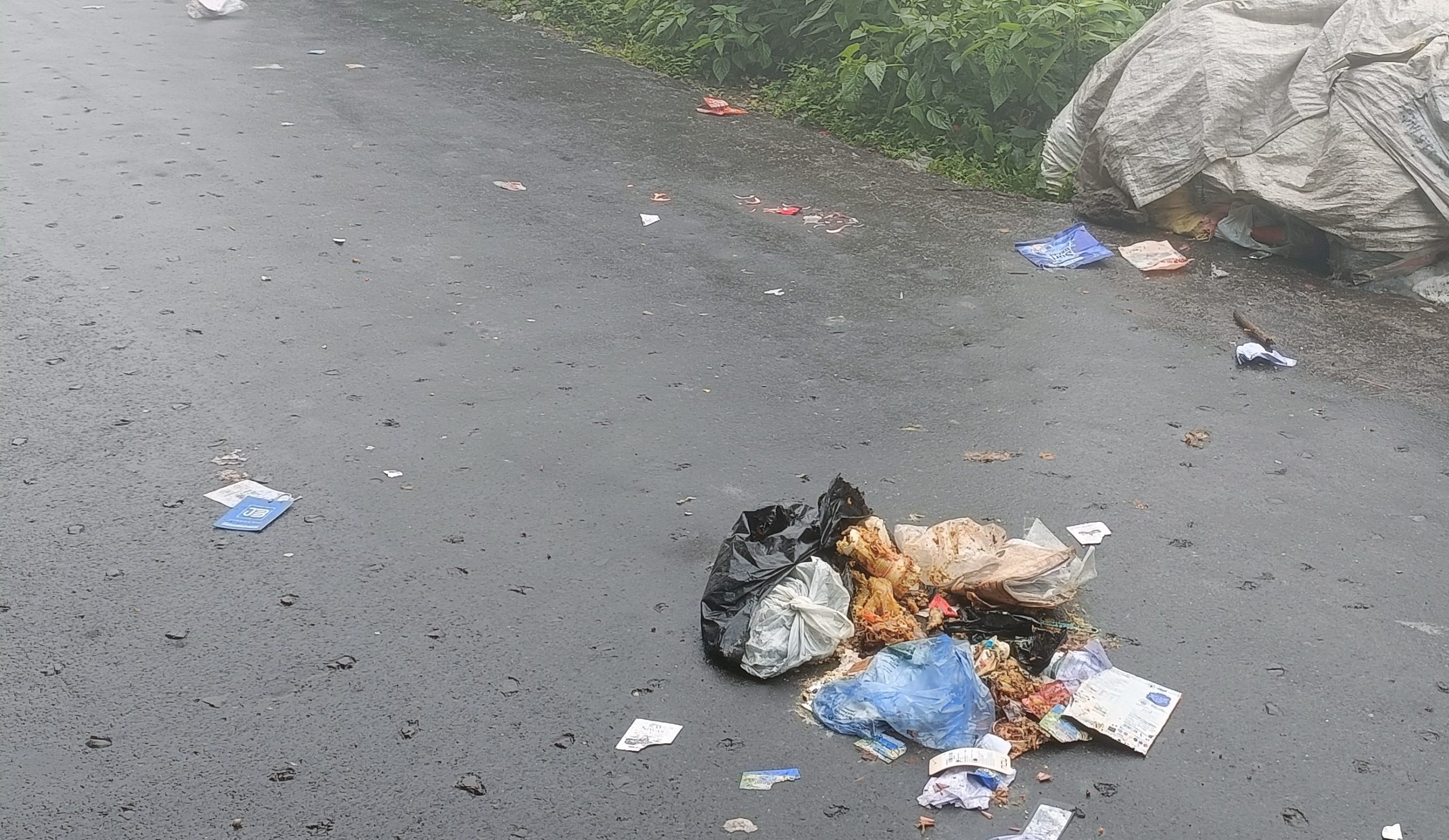 सड़क बिचैमा फोहोर-मैला फालिएपछि समस्यामा मानिस