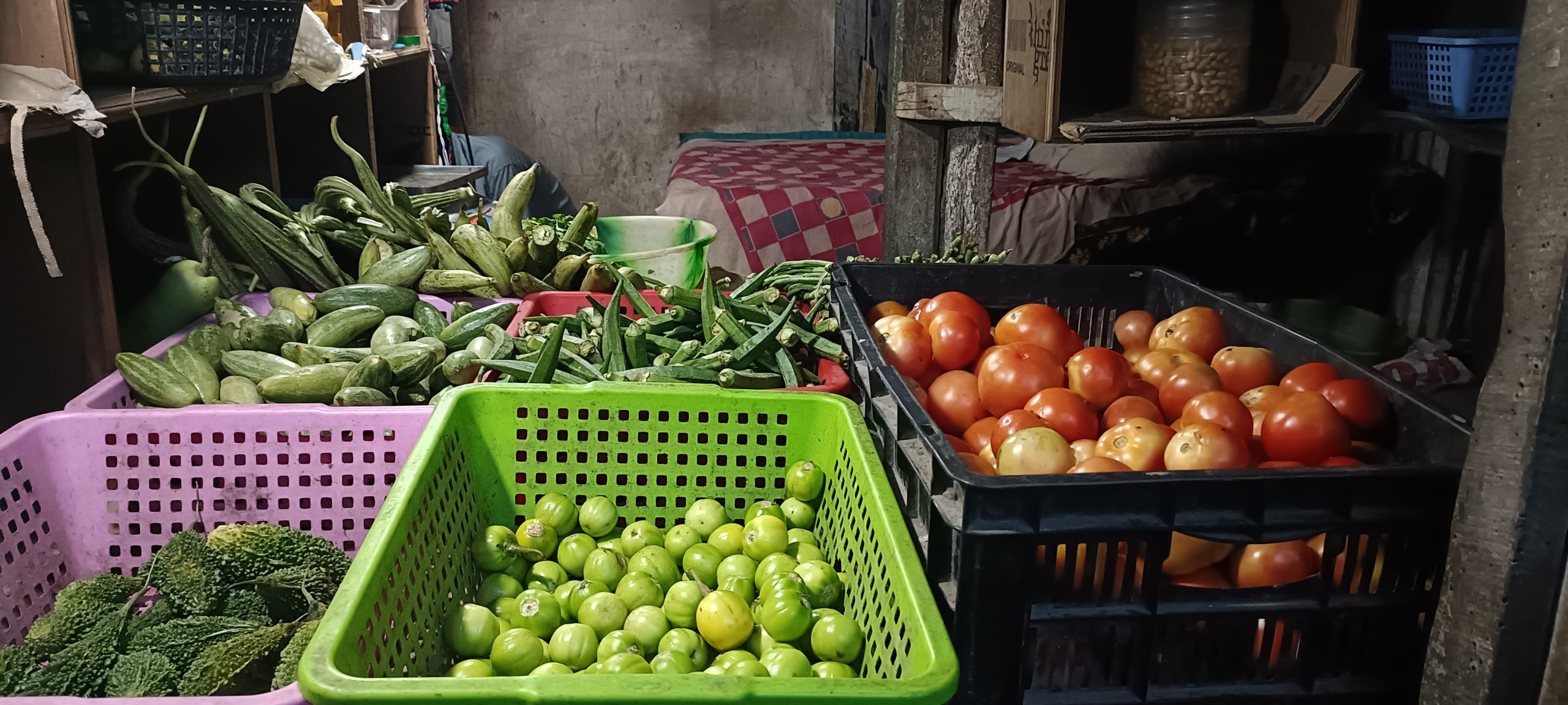 Read more about the article महँगो साग-सब्जीले साधरण मानिस समस्यामा