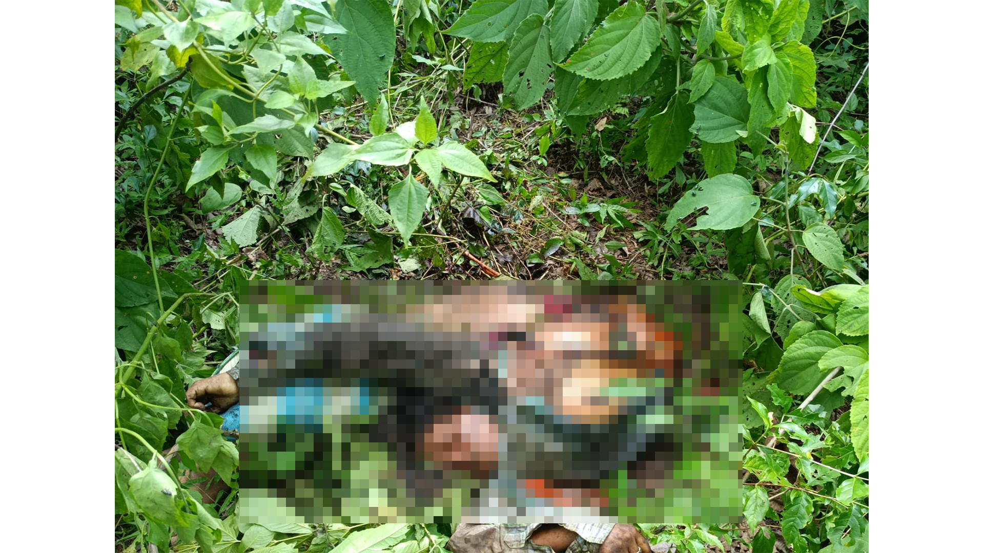 जंगली हात्तीको आक्रमणमा 40 बर्षीया महिलाको मृत्यु