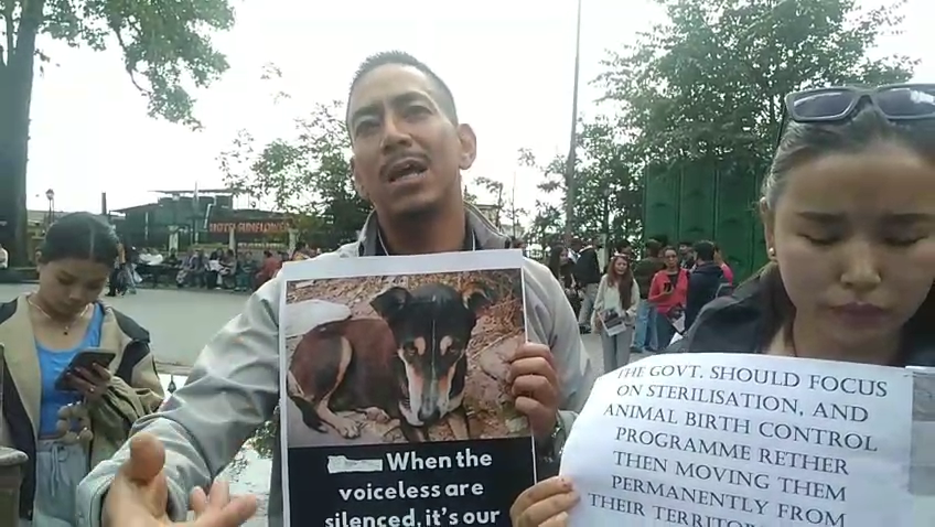 Read more about the article सर्वोच्च न्यायालयको निर्णयविरुद्ध ओर्लिए पशुप्रेमीहरु