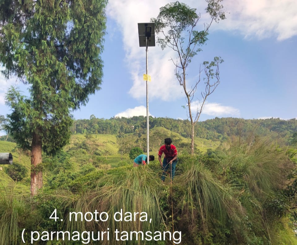 Read more about the article विधायक जिम्बाद्वारा स्ट्रीट लाइट जडान गर्ने कार्यमा तीब्रता