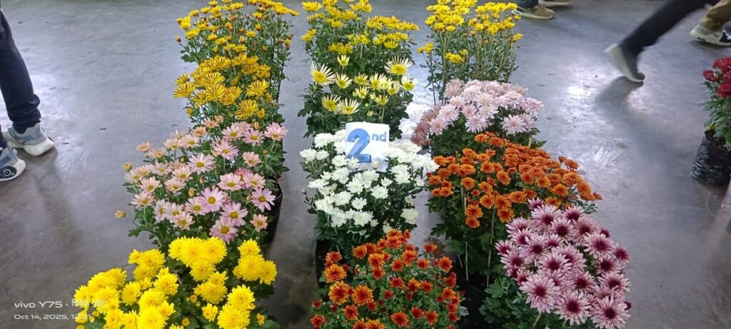 Exhibition and sale of Godavari flowers