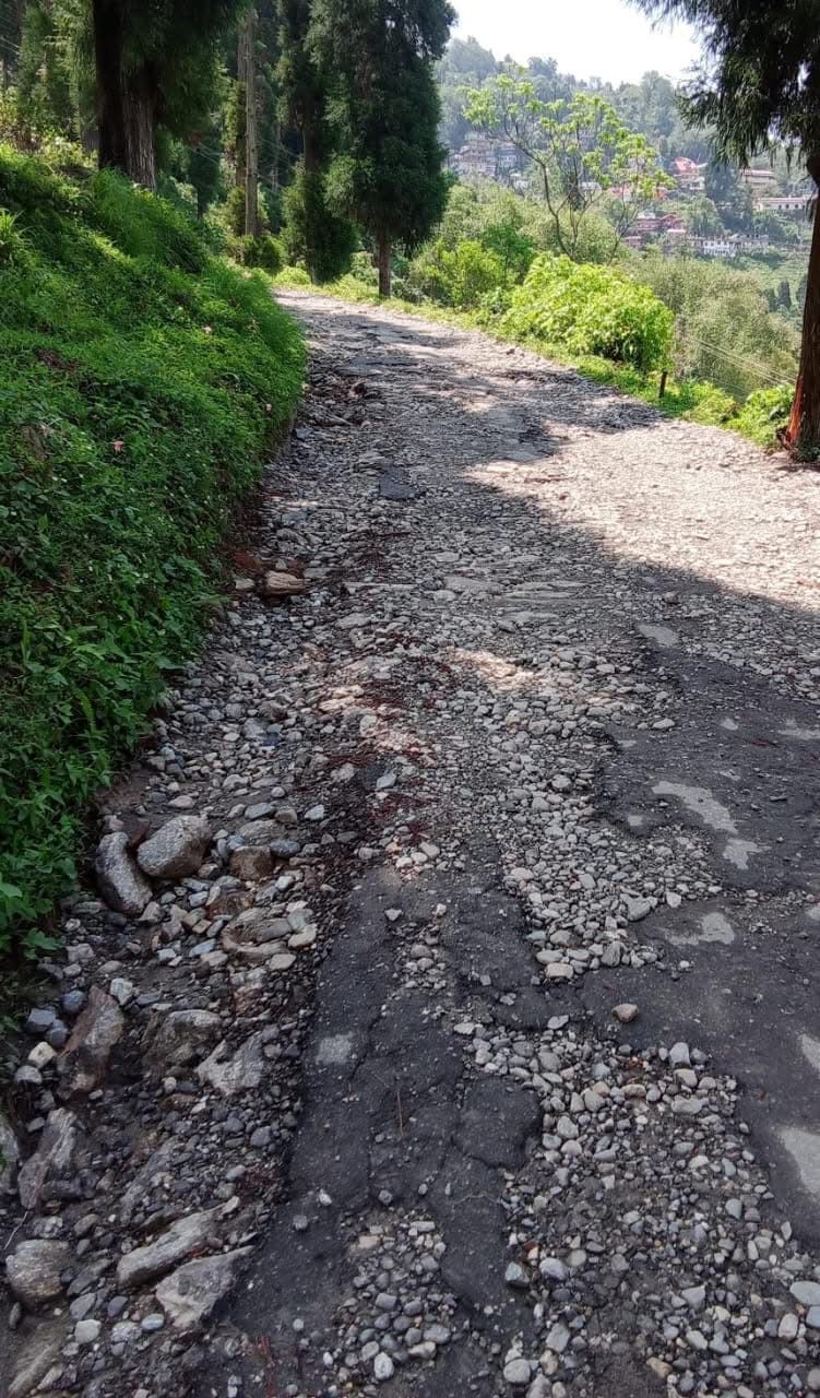 सिङ्गेल सडक दुरावस्थाः नेताको राजनीति, जनताको पीडा!
