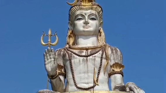 Read more about the article जामुनेको वर्तमान अवस्था देखेर धेरै दुःखी बने विमल गुरुङ